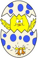 Chick In Egg Clipart- Easter Clipart