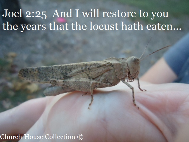 Joel 2:25  And I will restore to you the years that the locust hath eaten, the cankerworm, and the caterpiller, and the palmerworm, my great army which I sent among you.