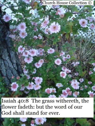 Isaiah 40:8  The grass withereth, the flower fadeth: but the word of our God shall stand for ever.