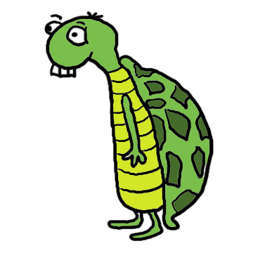 turtle Clipart
