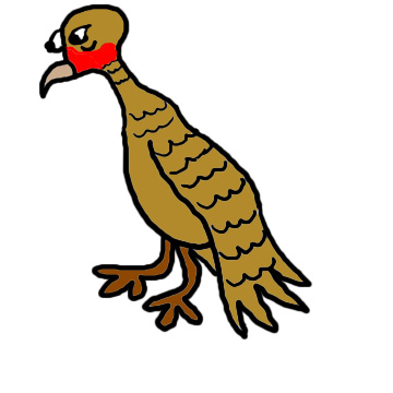 Urubu Clipart Bird