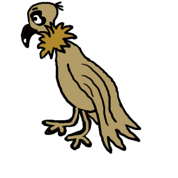 Vulture Clipart Bird