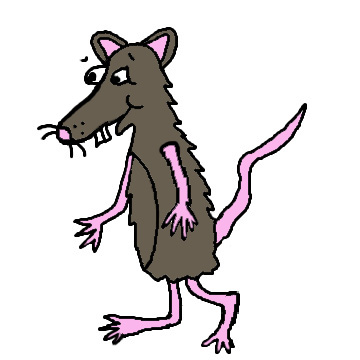 Possum Clipart